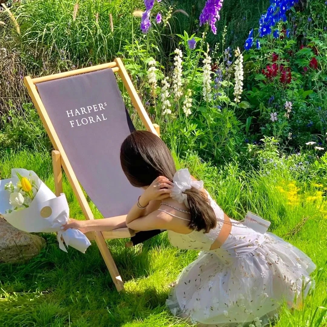 查莉成长日记第二季